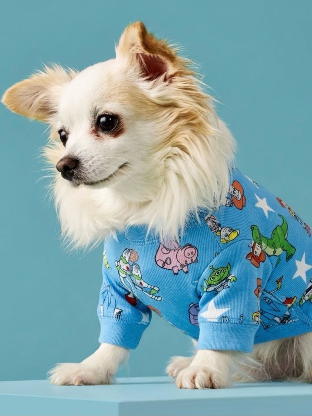 Hanna Andersson Disney Toy story 4 collection pijama x little dog size small
